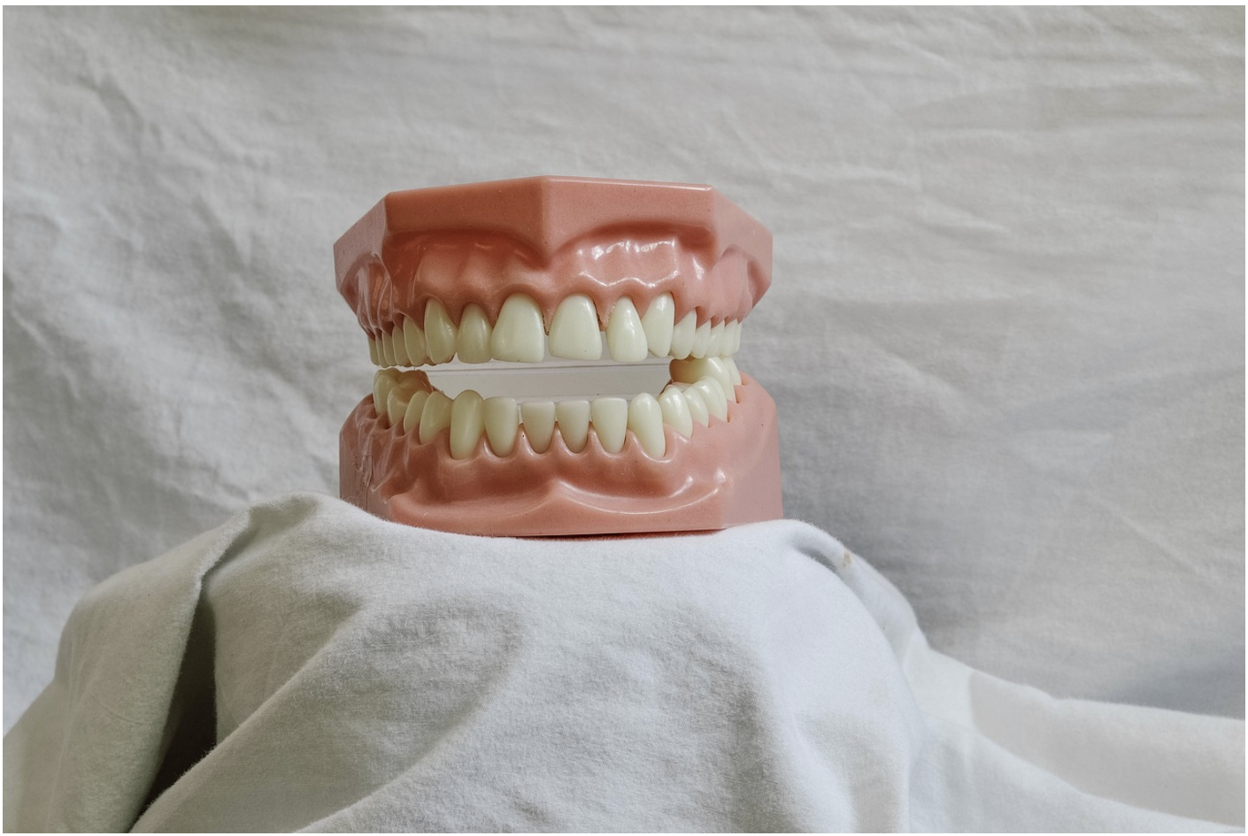 치과 관련 전문적인 이미지