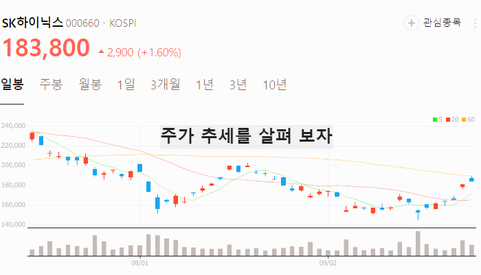 전력반도체 관련주 대장주 테마주 TOP7 : SIC