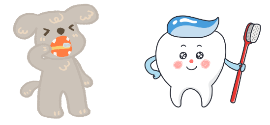 강아지 나이 사람나이