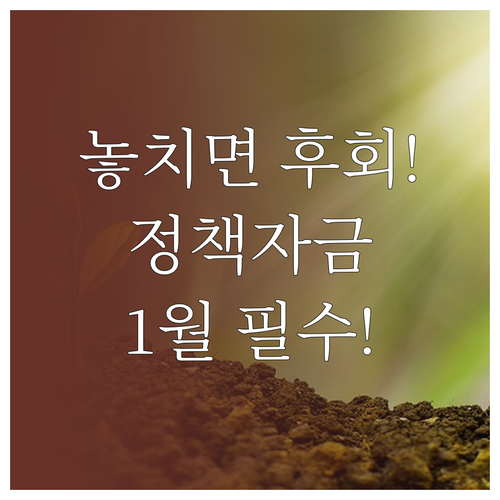 2025년 소상공인 정책자금 1월 조..