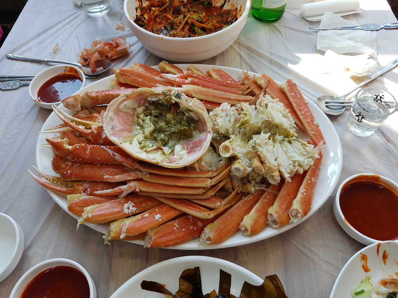 포항 구룡포 맛집 창우물회대게