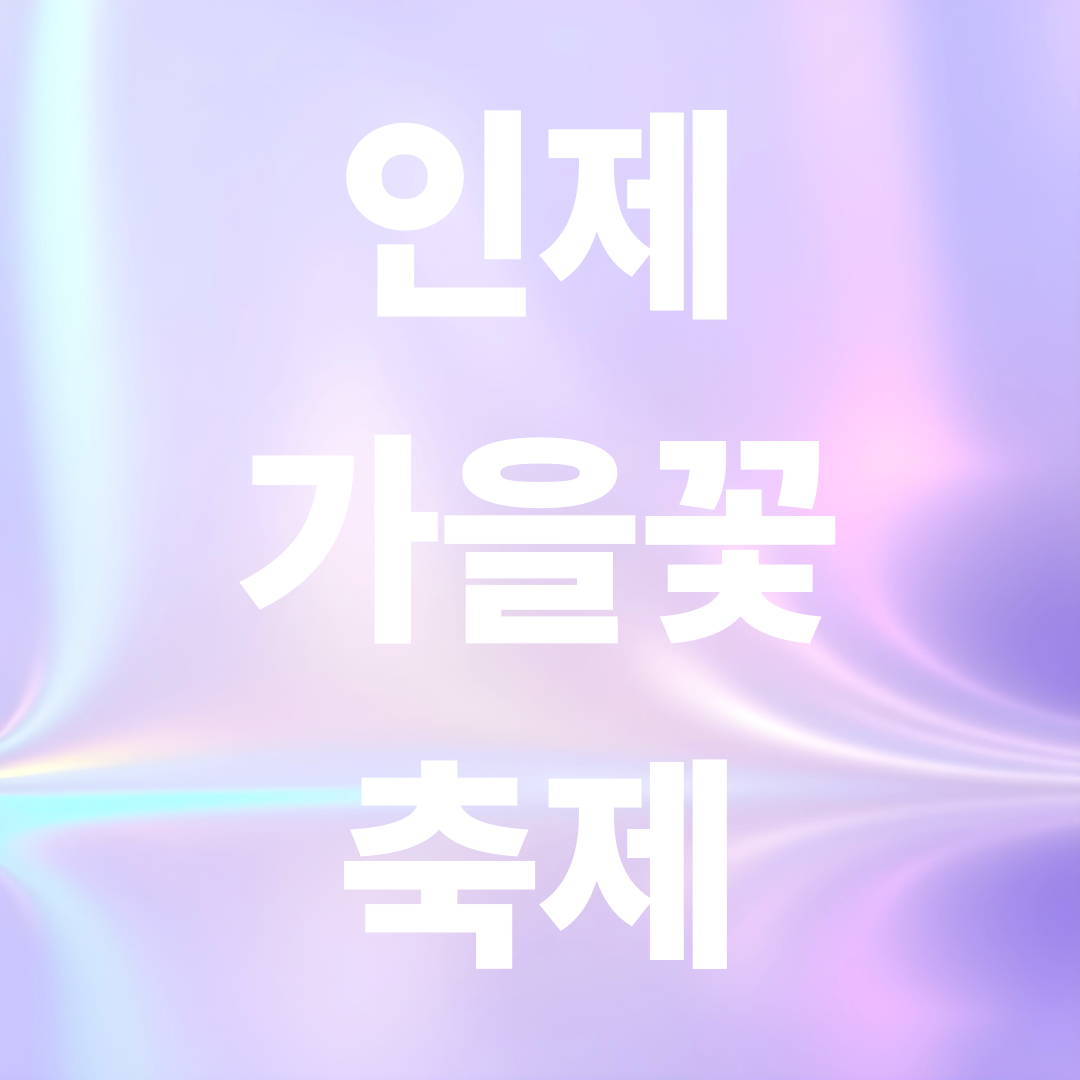 인제 가을 꽃 축제 2025