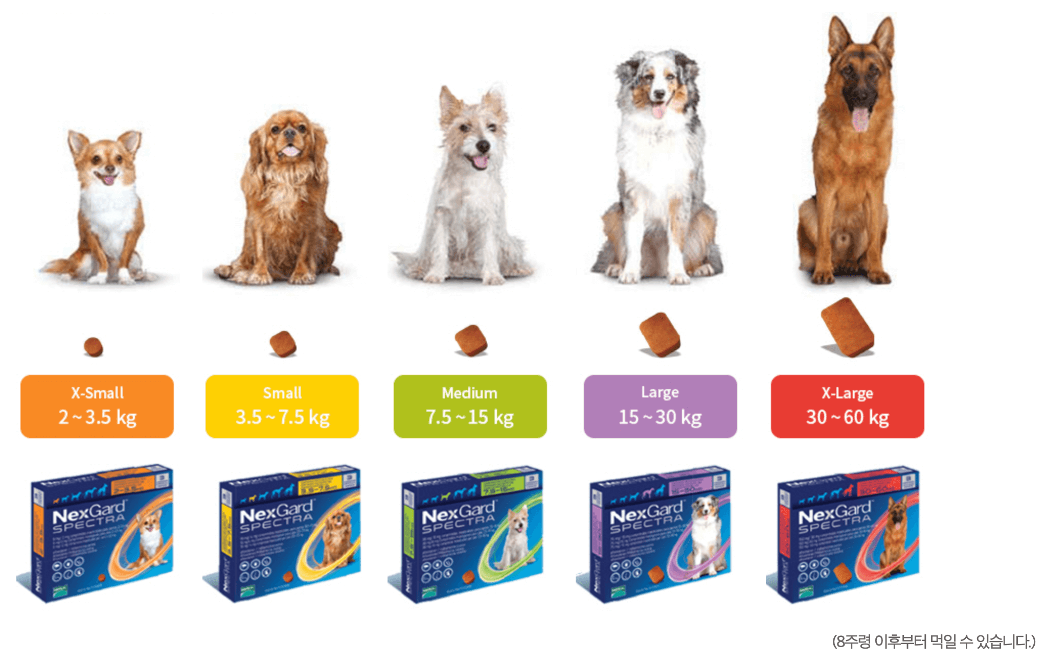 넥스가드-스펙트라-효과