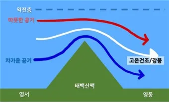 봄철 강풍 꽃가루 농도 알레르기 마스크 관리_2