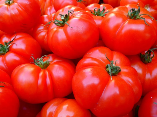 폐섬유증 초기증상과 폐에 좋은 음식15