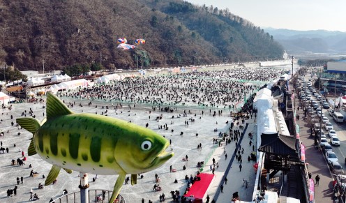화천 산천어 축제