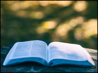 집에서 벼락치기 성공팁 (중학생, 환경, 집중)