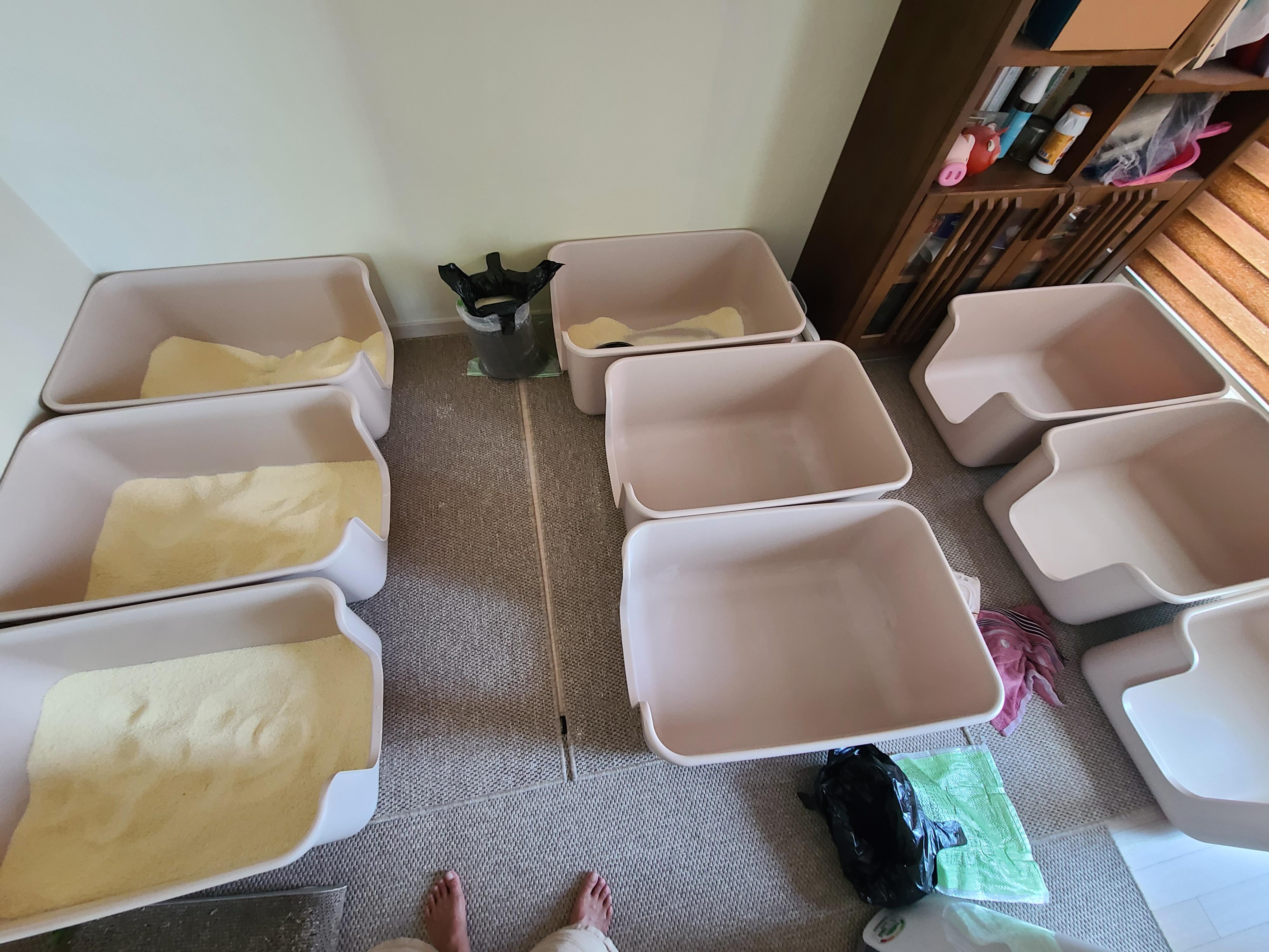 때가 되었다! 아이들 화장실 모래 전체갈이 한날.