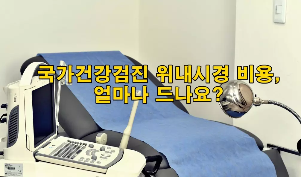 국가건강검진 위내시경 비용, 얼마나 드나요?