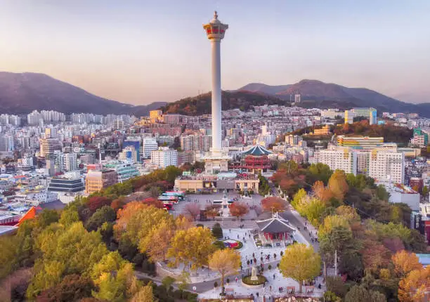 부산국제영화제 개막식 예매