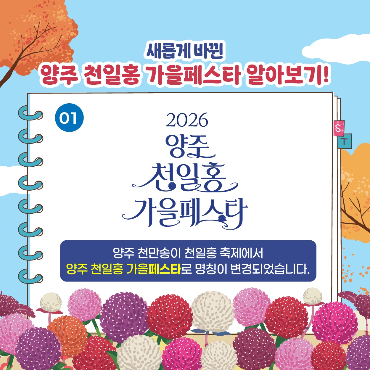 양주 천일홍 가을 페스타 살펴보기 2