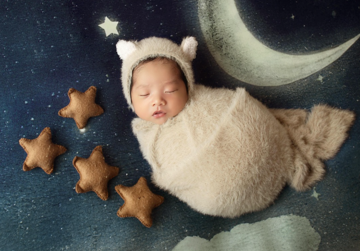 주먹고기의 정의