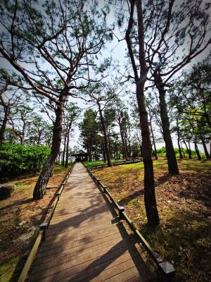 대전 한밭수목원의 봄풍경