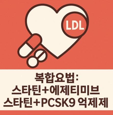 복합요법: 스타틴 + 에제티미브, 스타틴 + PCSK9 억제제 사진