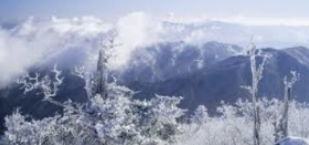 덕유산 곤도라 예약 요금 운행시간