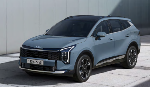 25년 12월 자동차 판매량 순위