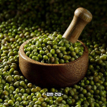 녹두 효능 명불허전
