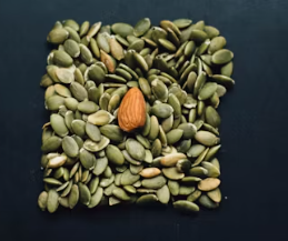 단백질 많은 음식 식물성 동물성