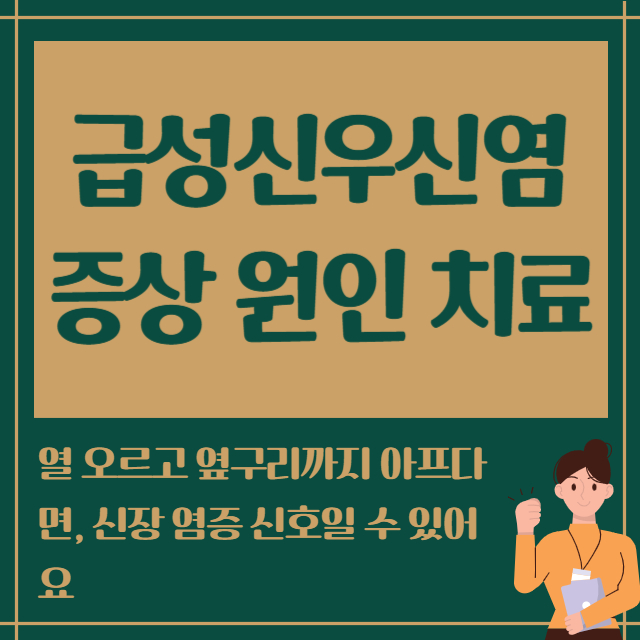 급성신우신염 증상 원인 치료