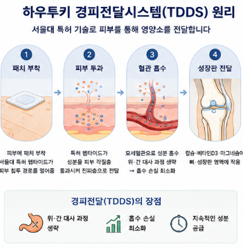 하우투키-효과-사용법-내돈내산-성분-패치