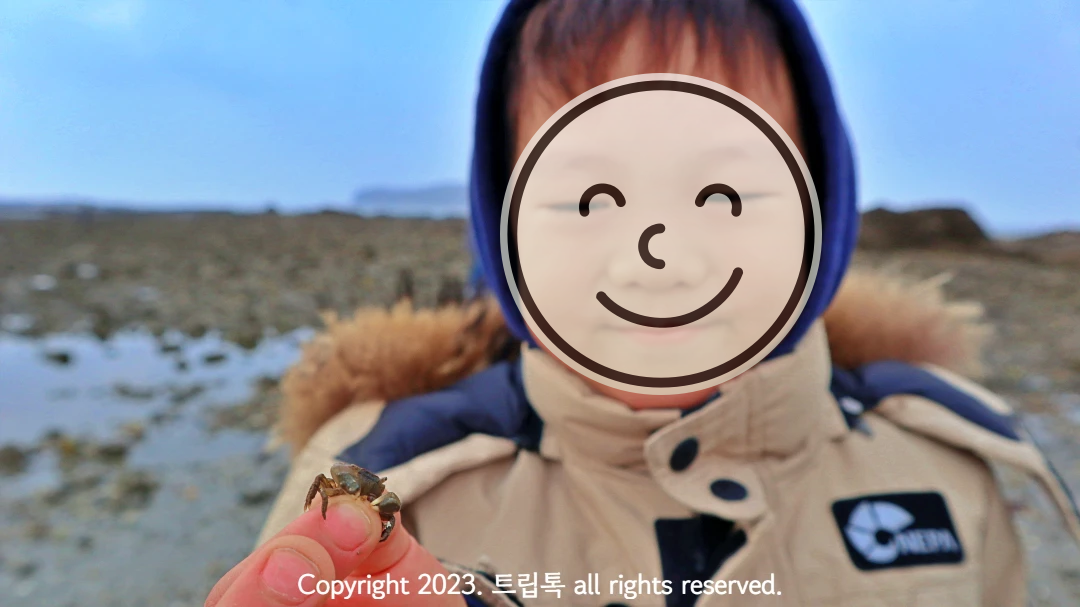 아이가 잘은 게를 손으로 잡고 있다