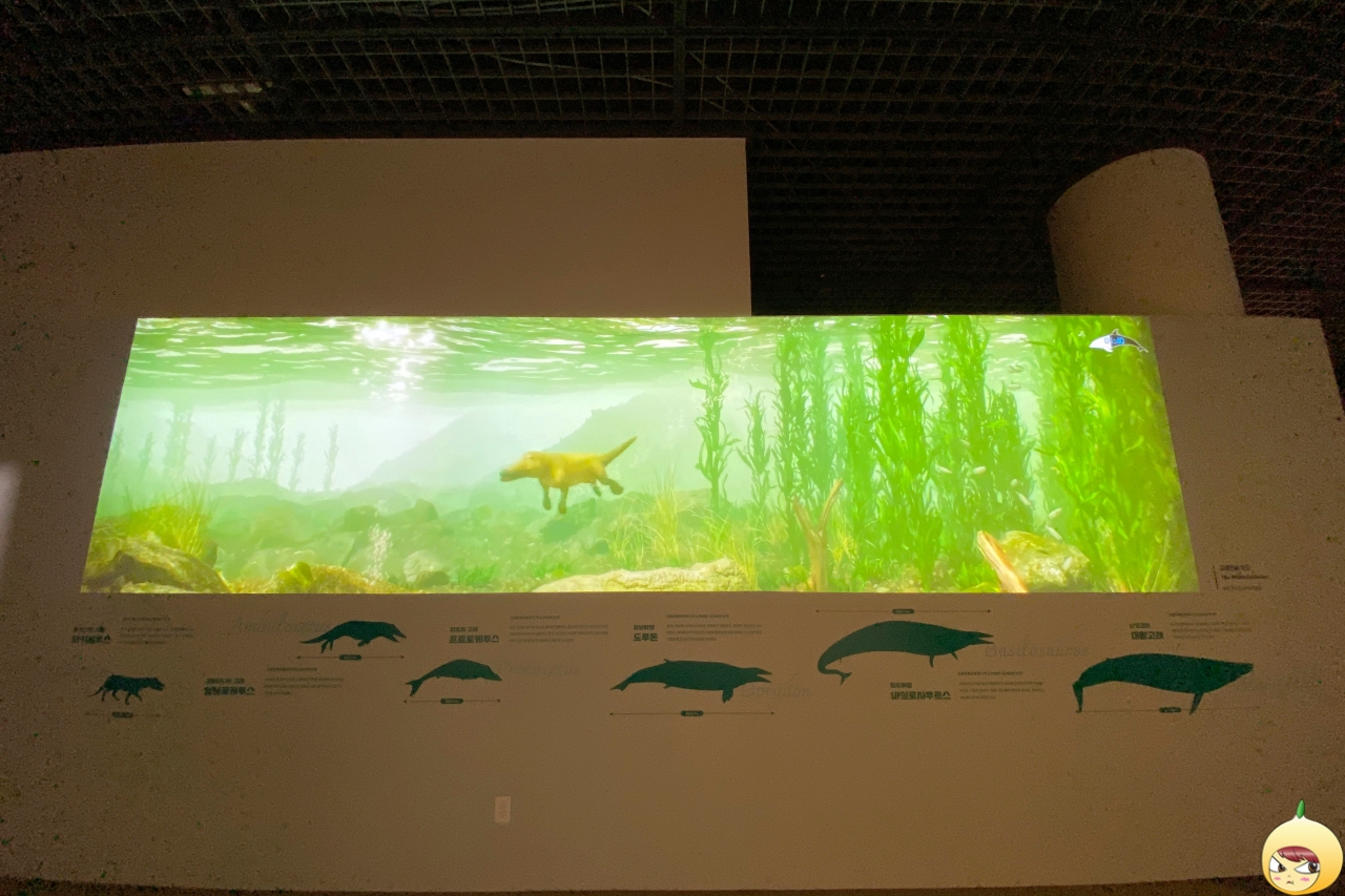 고래 진화 스토리