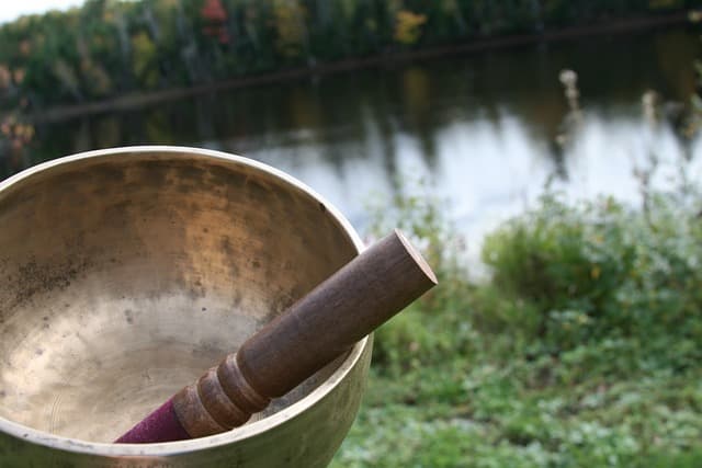 불면증 개선을 위한 자연 치유법: 수면을 돕는 허브와 습관