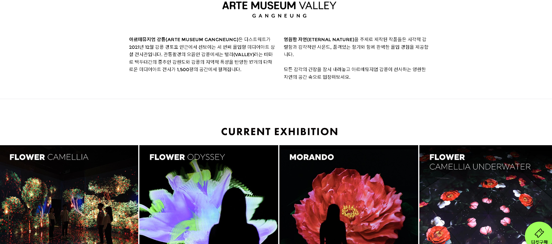 강릉아르떼뮤지엄 홈페이지