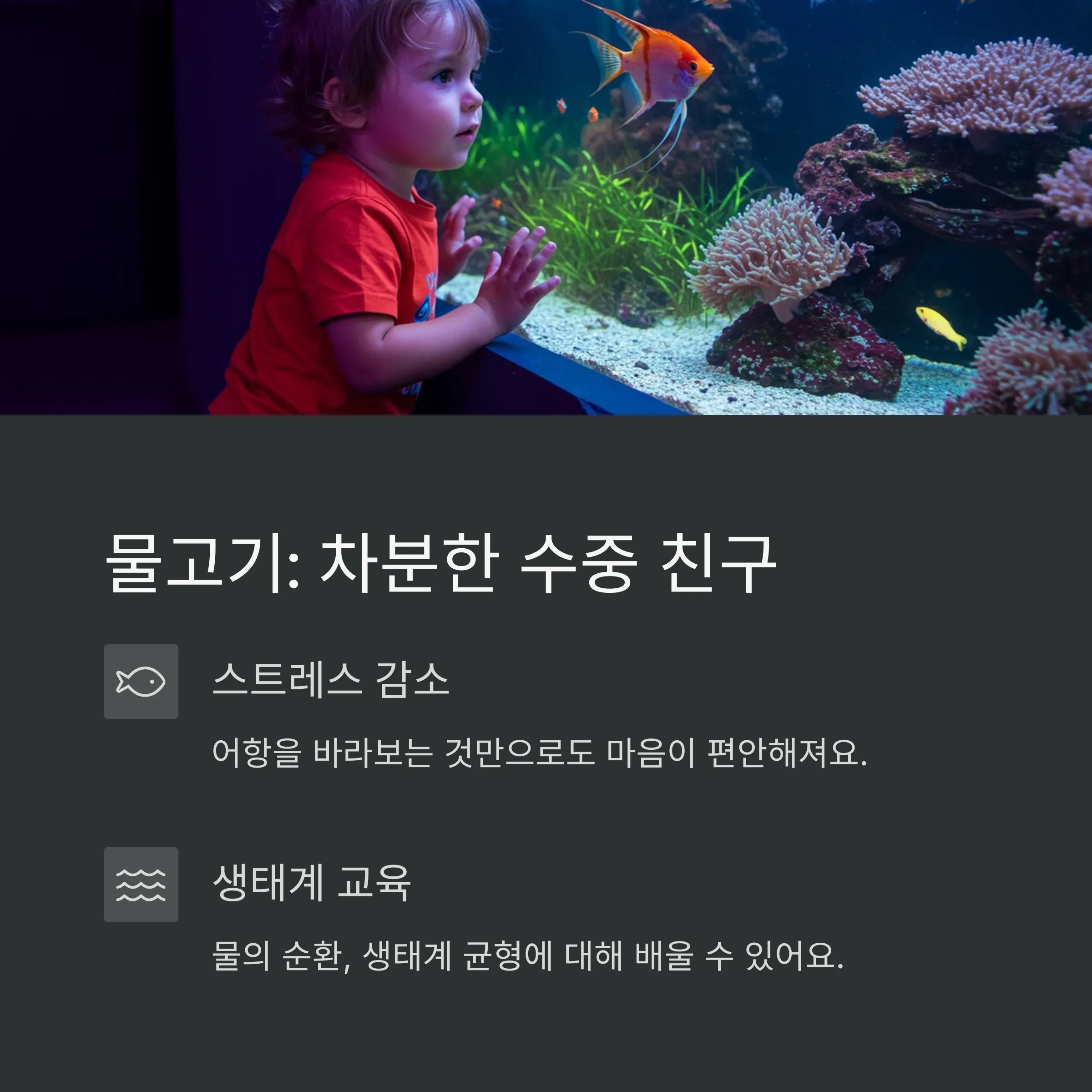 아이와 함께 키우기 좋은 반려동물