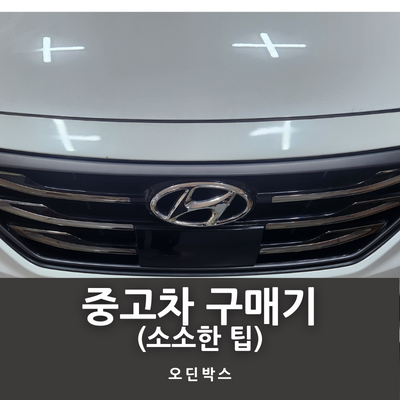 중고차 구매기 표지 이미지