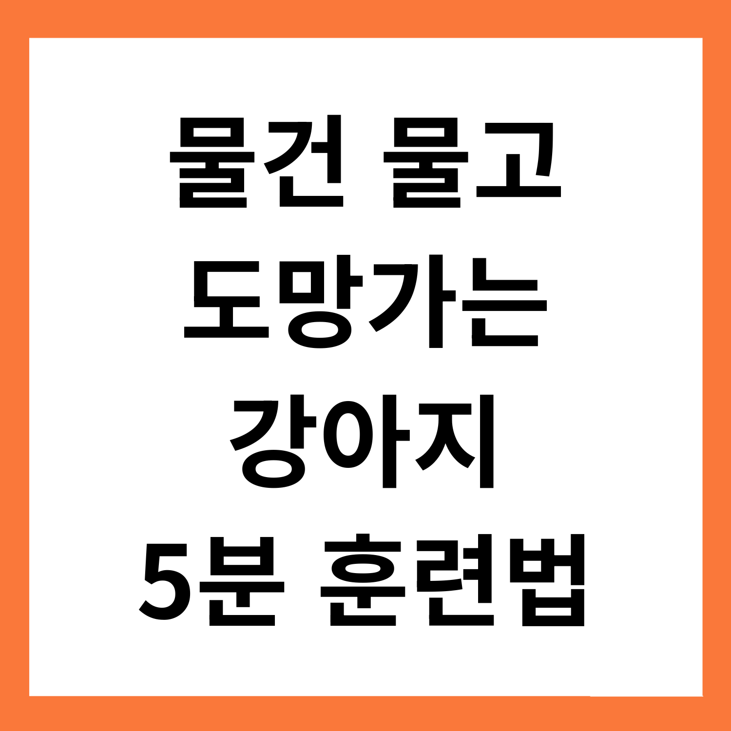 물건을 물고 도망가는 강아지, 5분 훈련으로 바꾸는 법