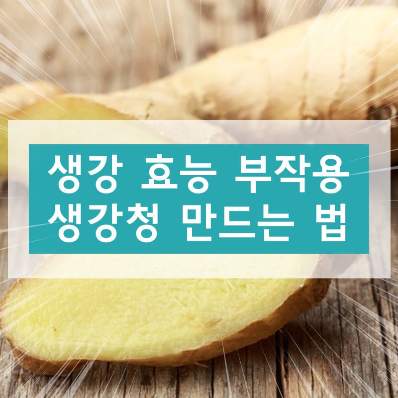 생강 효능 부작용 생강청 만드는 법