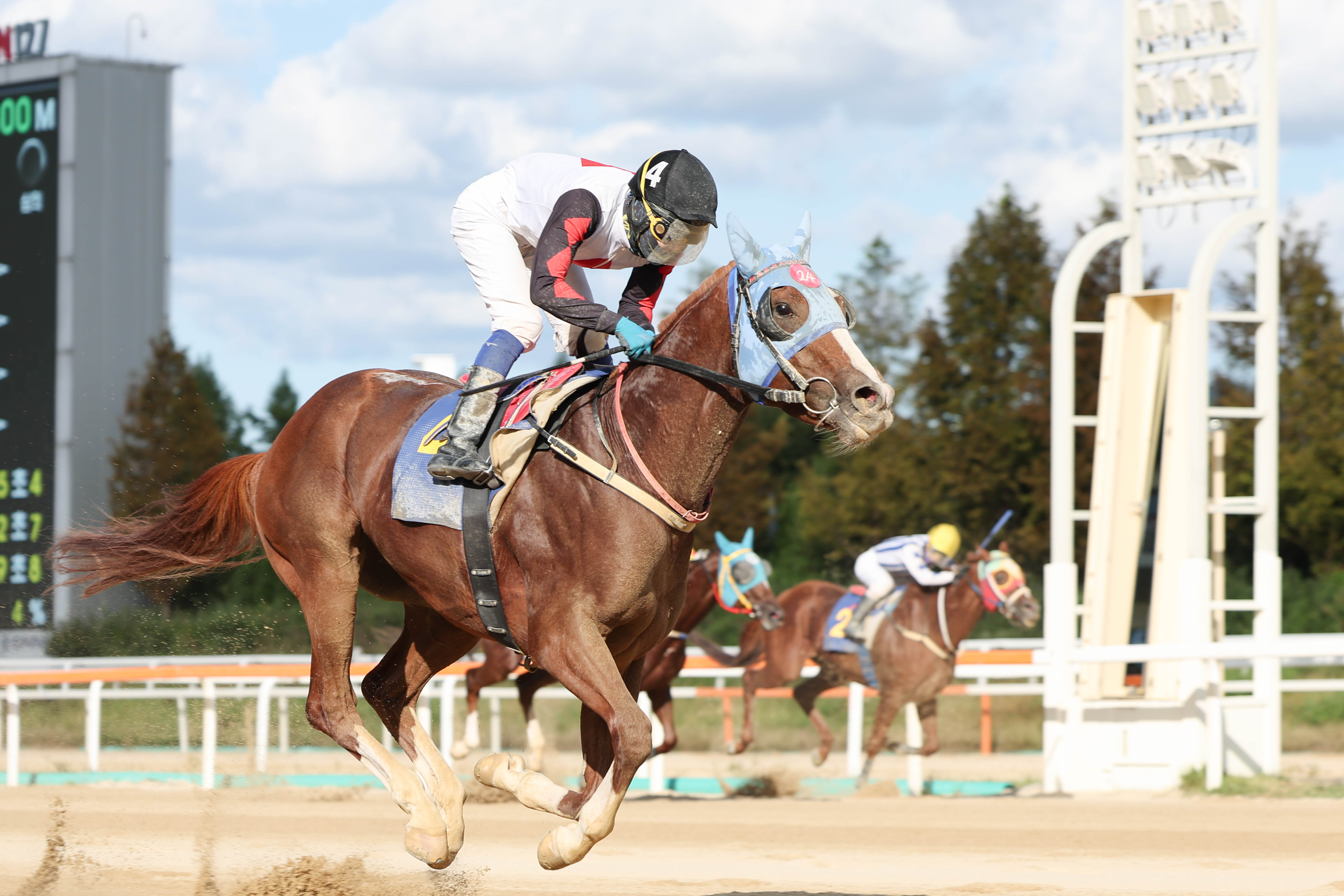 2024년 일간스포츠배 우승마 늘가을과 이혁 기수
