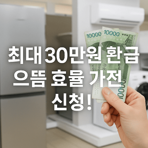 2025 으뜸 효율 가전 환급 신청 방법 & 대상 품목 완벽 가이드
