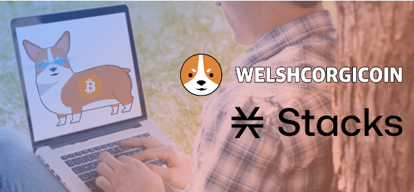스택스 밈코인 웰시코기 코인(WELSH)을 알아보자