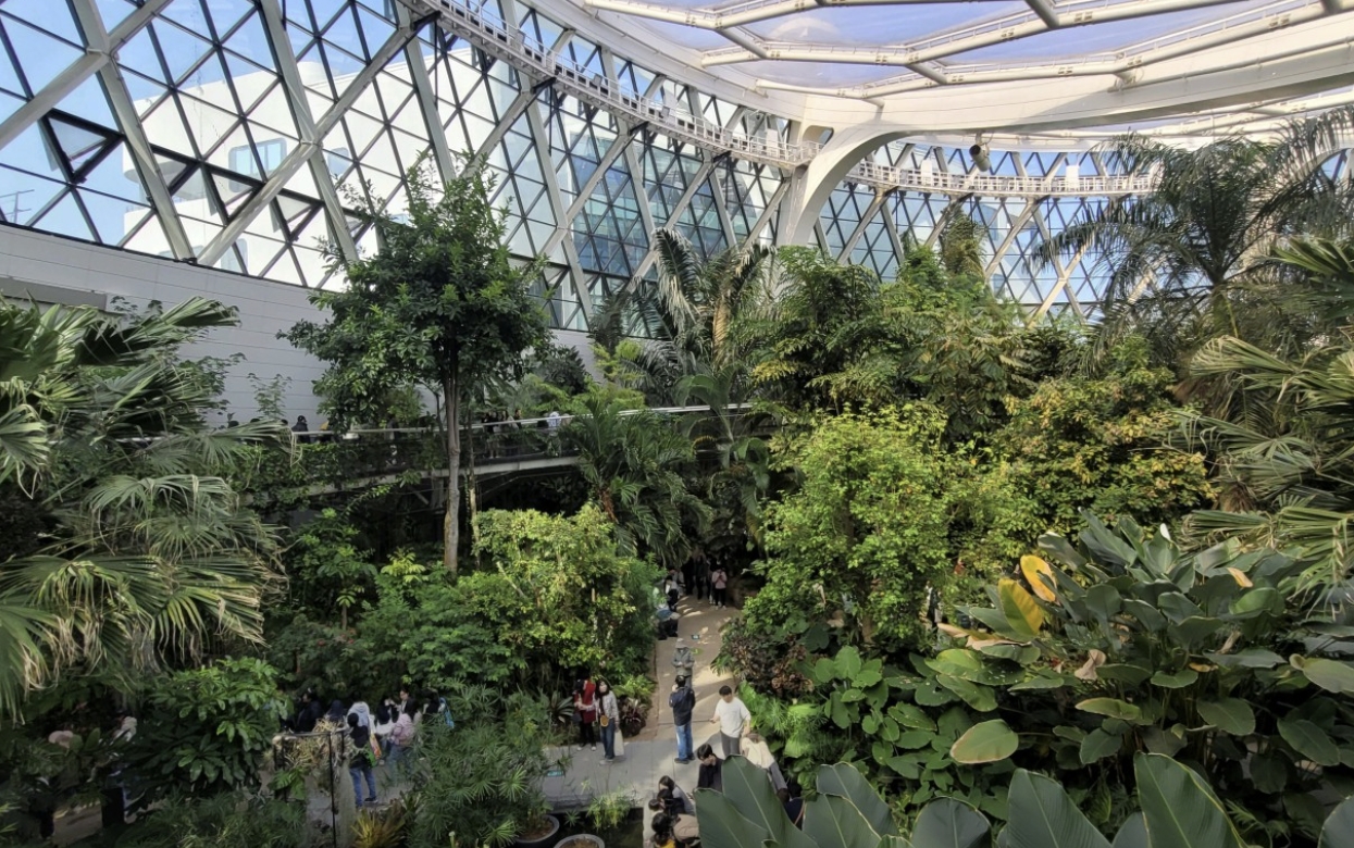 서울식물원 관련 사진