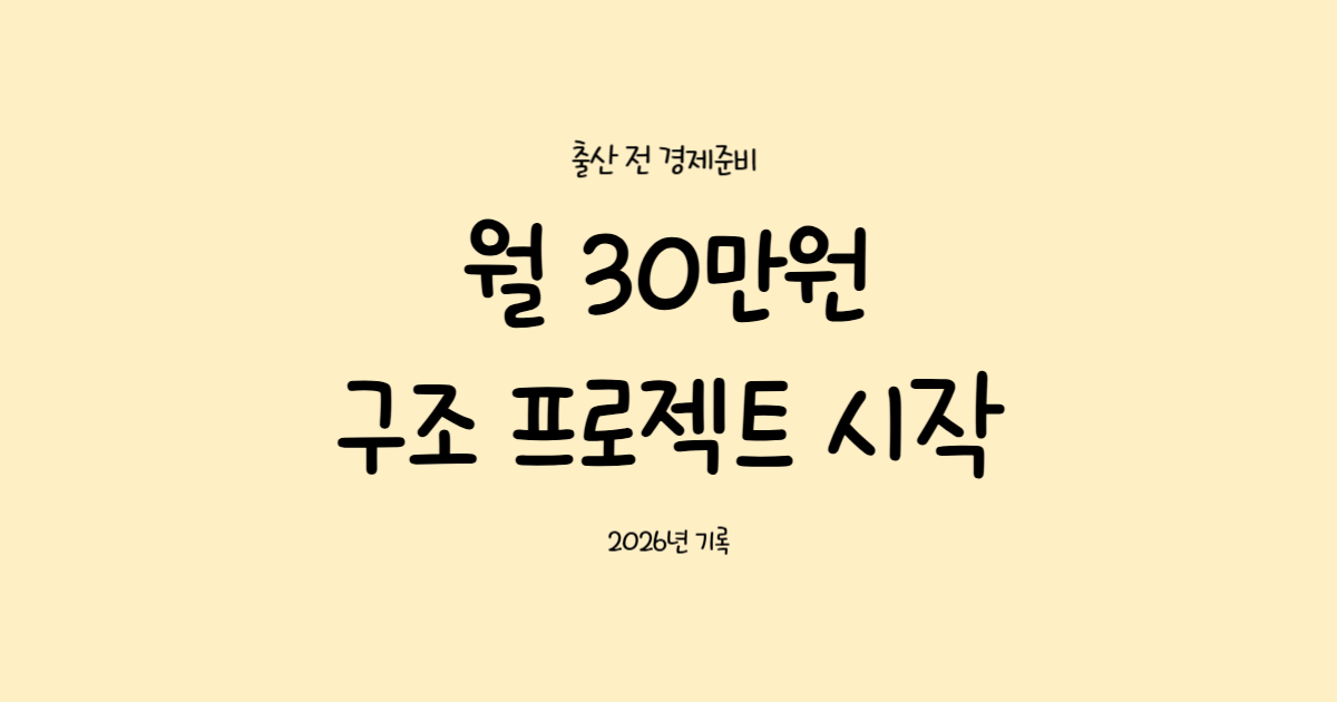 출산 전 경제 준비 프로젝트