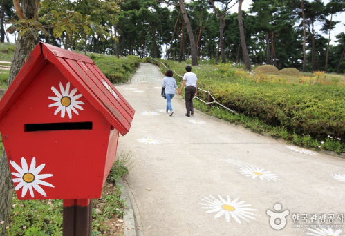 정읍 구절초지방정원