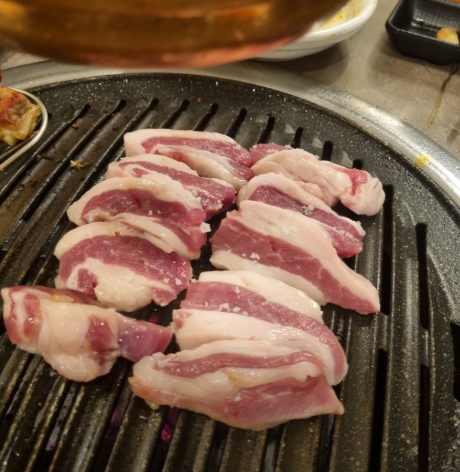 생항정살