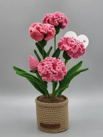 카네이션 화분 키우는 방법 생화 꽃바구니 관리_15