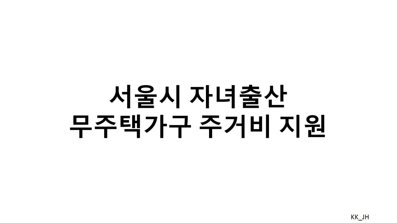 서울시 자녀출산 무주택가구 지원사업:2025년