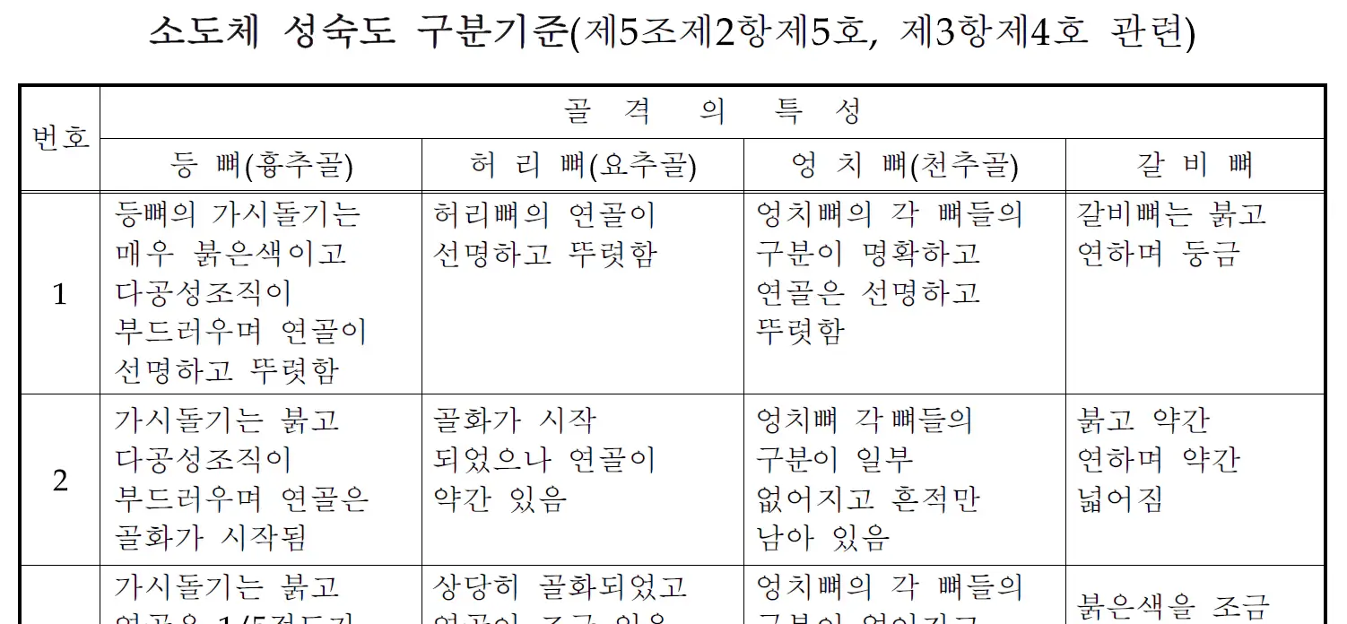 한우등급기준-소도체-성숙도-기준표