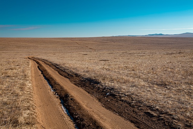 11월에 볼 수 있는 날씨 모습