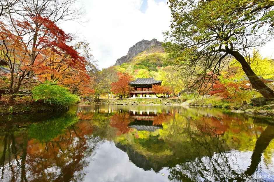 장성 가볼만한곳 베스트10