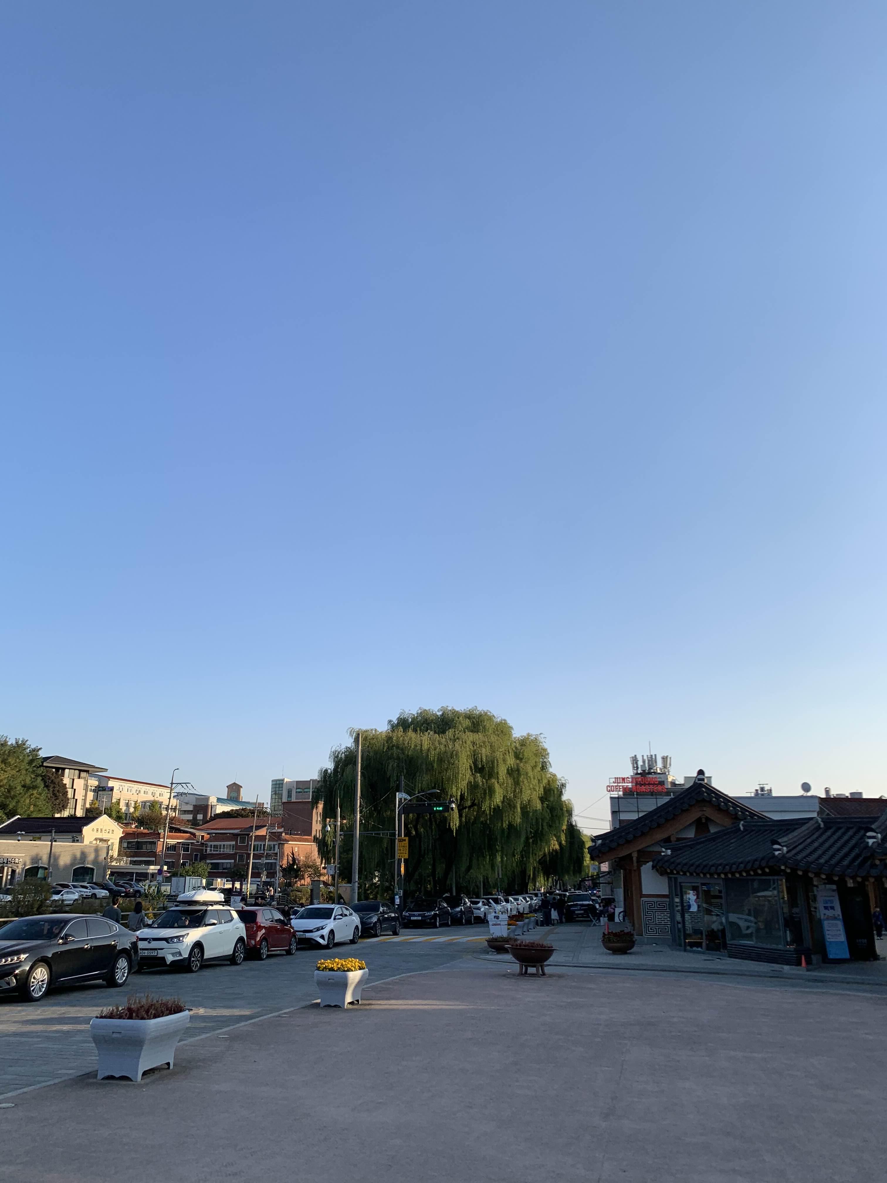 수원 화성 카페 정지영커피로스터즈