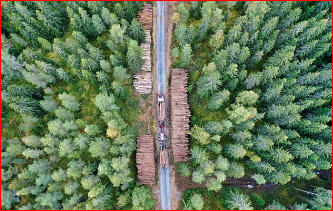 플로깅 : 건강과 환경을 동시에 지키는 새로운 운동 트렌드