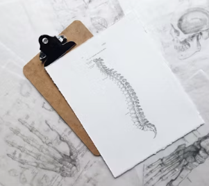 만성요통 원인 초기 증상 예방 운동법