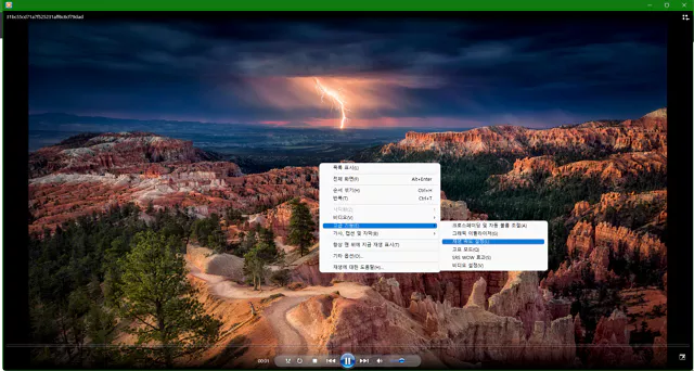 WMP 슬라이드 쇼 재생