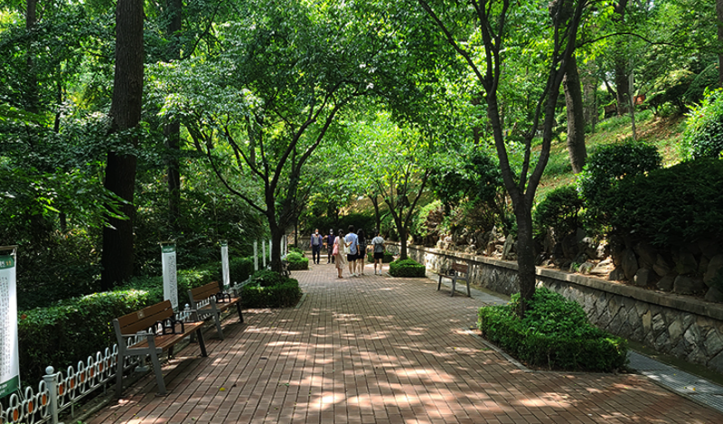 자유공원 숲길 산책