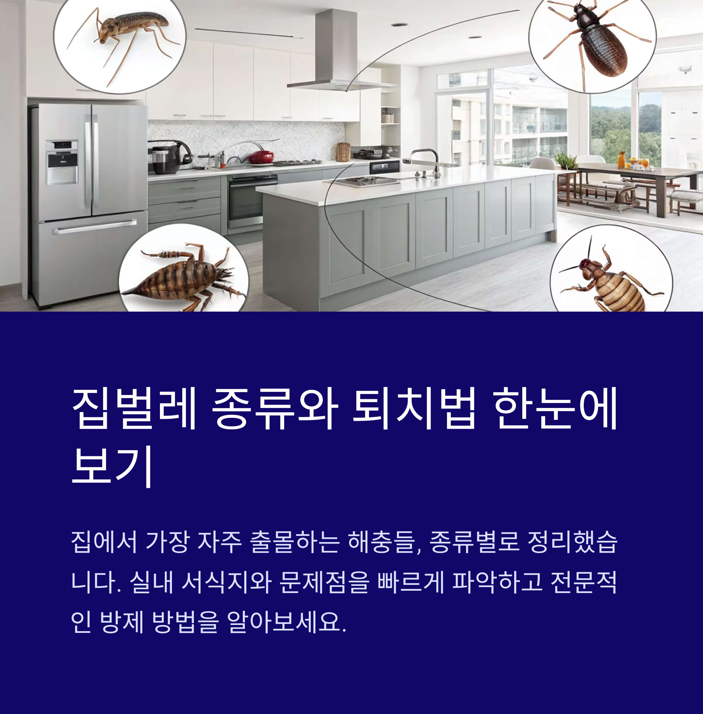 집벌레종류